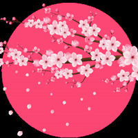 主催画像