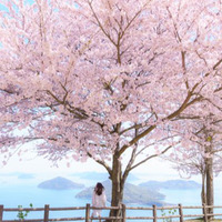 主催画像